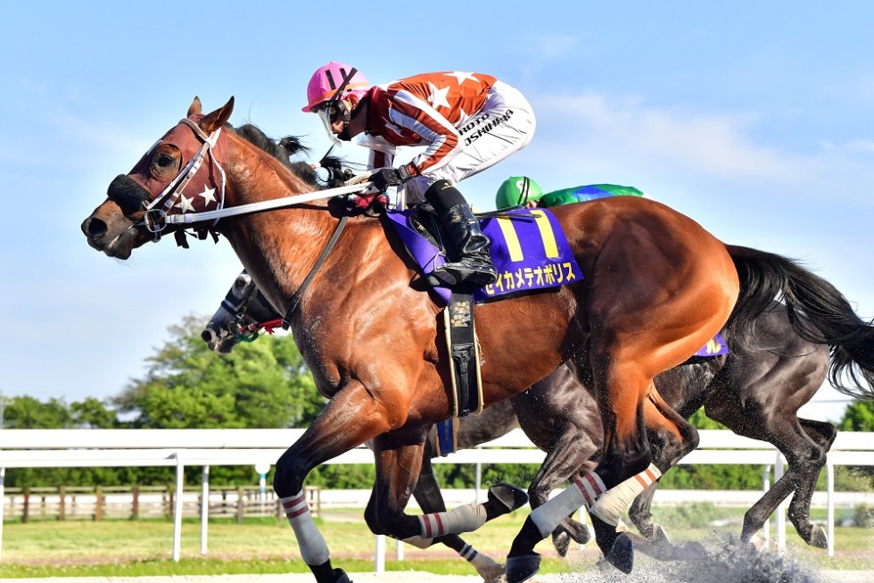 地方全国交流 第32回オグリキャップ記念」競走の結果 | 笠松けいば