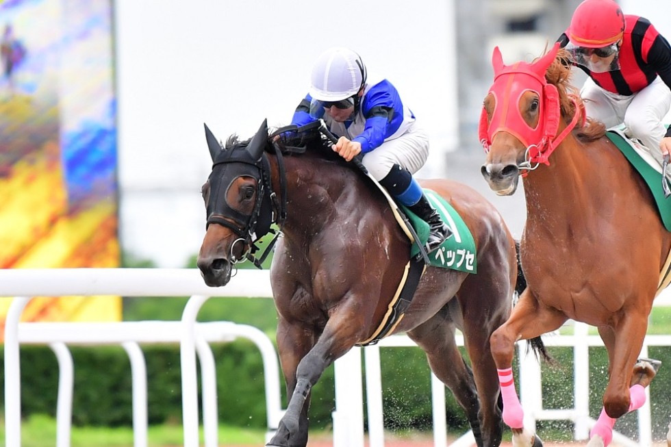 日刊スポーツ杯 第47回クイーンカップ」競走の結果 | 笠松けいば